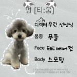 멍티움연수점