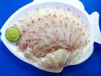 쌍둥이수산 23번
