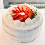 코멧츠