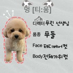 멍티움연수점