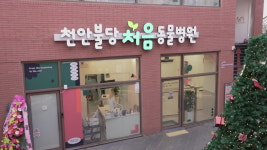 처음동물병원