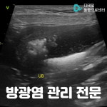 디테일 동물의료센터