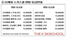 엘리시안 강촌 스키강습 더케이 스키스쿨