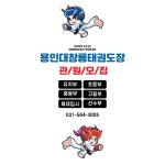 용인대창룡태권도장