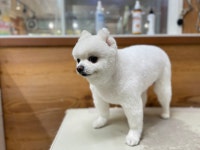 더사랑할개
