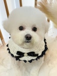 몽끌림