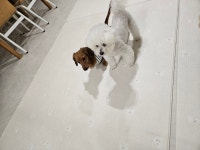 멍친카페