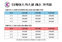 엘리시안 강촌 스키강습 더케이 스키스쿨