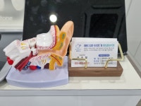 메디컬보청기 잠실본점