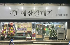 예산갈매기