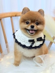 몽끌림