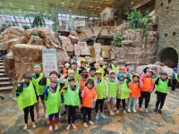 용인대학사태권도