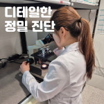 디테일 동물의료센터