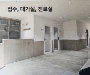 21세기바른정형외과의원