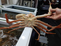 대성수산 대게직판점 창원점