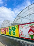 다윤딸기농장