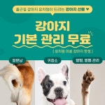 출근길 강아지 유치원 호텔