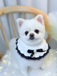 몽끌림