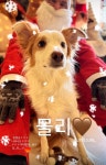 베일리펫케어