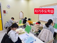 브레인거북이초등전문학원