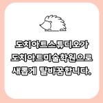도치아트미술학원