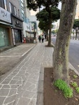우리국제행정사사무소