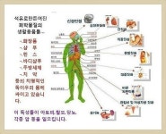 큐사랑 풍동상가점