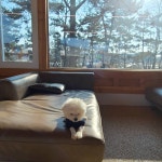 대부도 한옥펜션 반디브