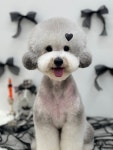 윈썸그루밍