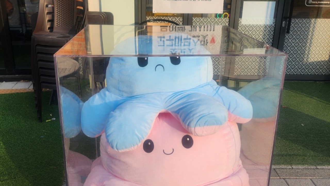 명품문어빵