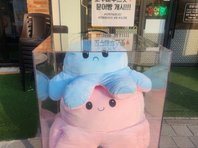명품문어빵