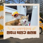 사랑할개