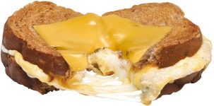 커피니 정부과천청사2동점