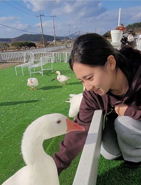 함평나비카페 사진