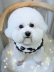 몽끌림