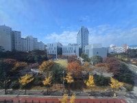 레피리움시그니처 신내점