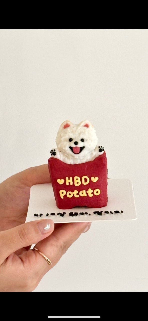 댕킷 강아지케이크 상세 이미지 3