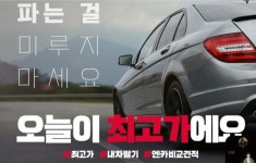 디오토팜