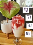 카페 알파카