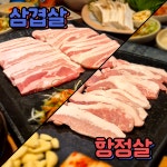 대통령1+ 서정리