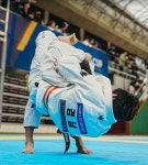 율하합기도율하주짓수