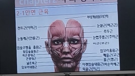 빈코스메틱