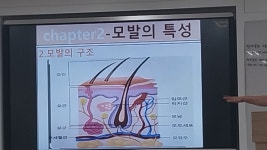 빈코스메틱