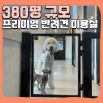 해피멍데이 애견미용