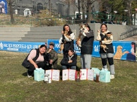 루카스독트레이닝 애견호텔유치원훈련