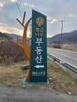 황금나무공인중개사사무소