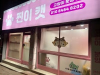 찐이캣