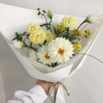 이파리