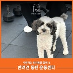 라노 필라테스 앤 피티 합정점