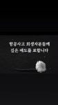 몽실펫
